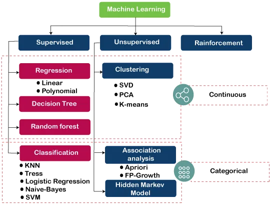 Common machine learning algorithms